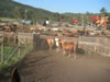 PICT0008